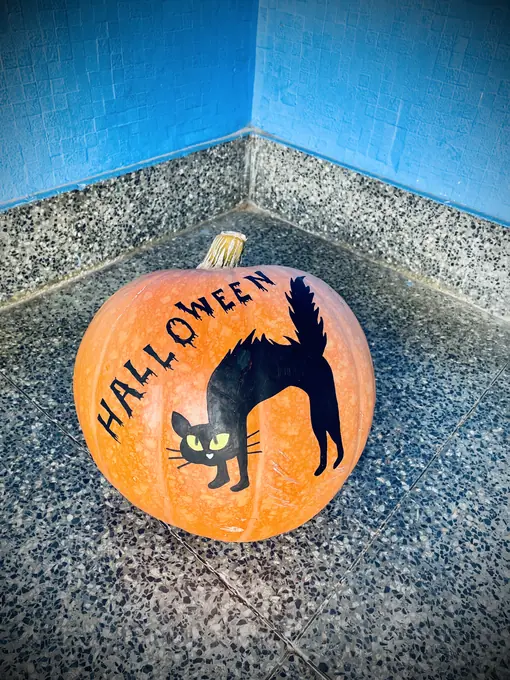 Una calabaza pintada con un gato negro