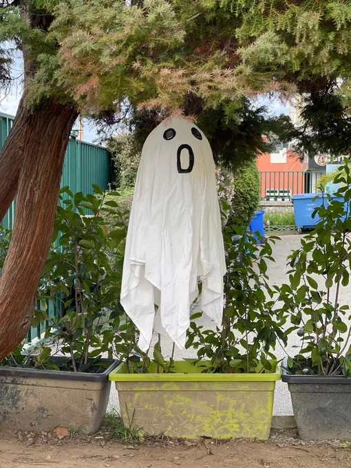 Decoración Halloween 2025 · Fotografía 8