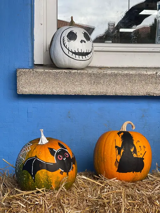 Decoración Halloween 2025 · Fotografía 30