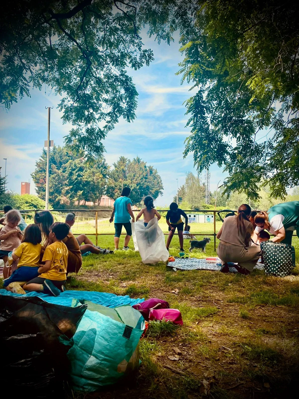 Actividades en familia