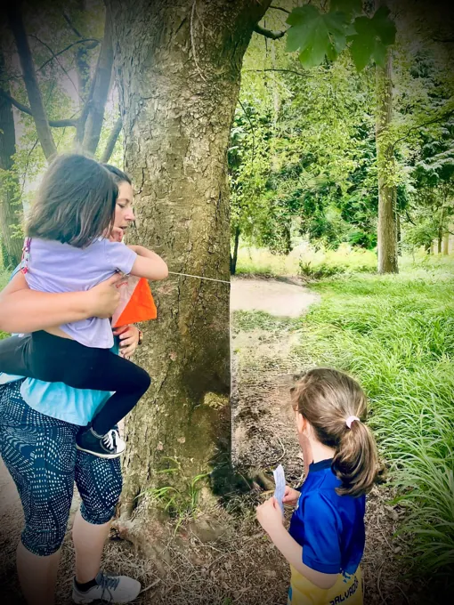 Actividades en familia