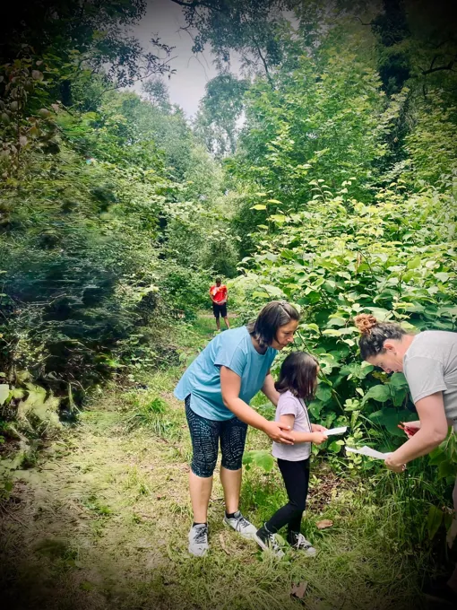 Actividades en familia